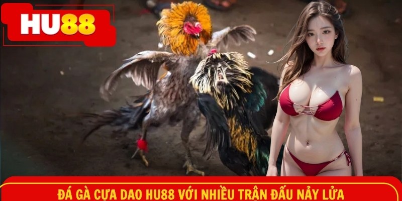 Đá gà dao HU88 với nhiều trận đấu nảy lửa