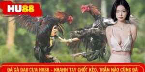 Đá gà dao HU88