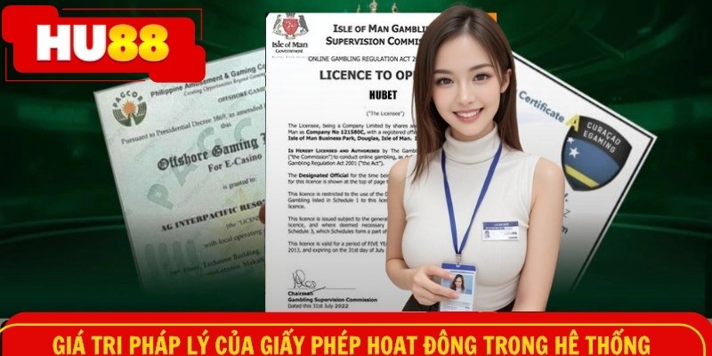 Giá trị pháp lý của giấy phép hoạt động trong hệ thống