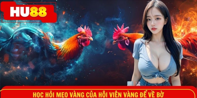Học hỏi mẹo vàng của hội viên vàng để về bờ