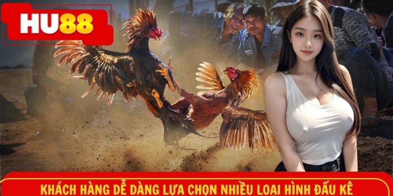Khách hàng dễ dàng lựa chọn nhiều loại hình đấu kê