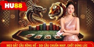 Mẹo bắt cầu rồng hổ