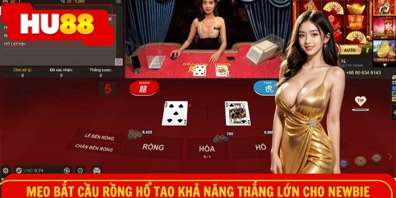 Mẹo bắt cầu rồng hổ tạo khả năng thắng lớn cho newbie